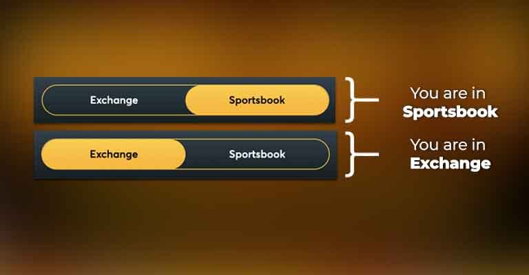 Funinexchange360 How To Set Image